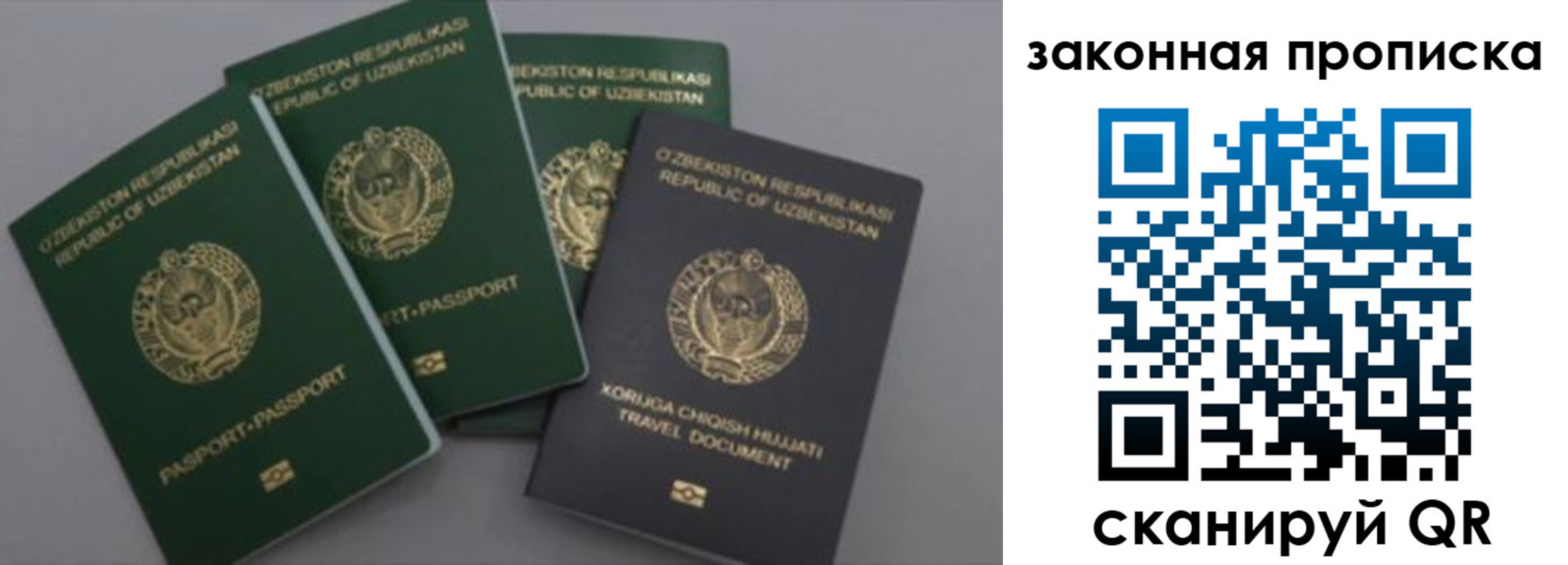 прописка законно в Дальнегорске